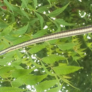 Meet your Posher, Jatin